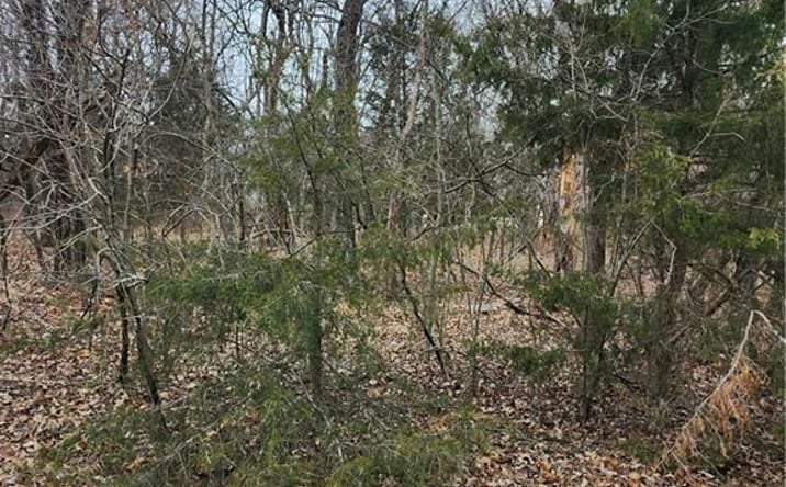 Pictures of Land, Special Purpose, Multifamily property located at 13 Silver Lane, Linn Valley, KS 66040 for sales - image #1