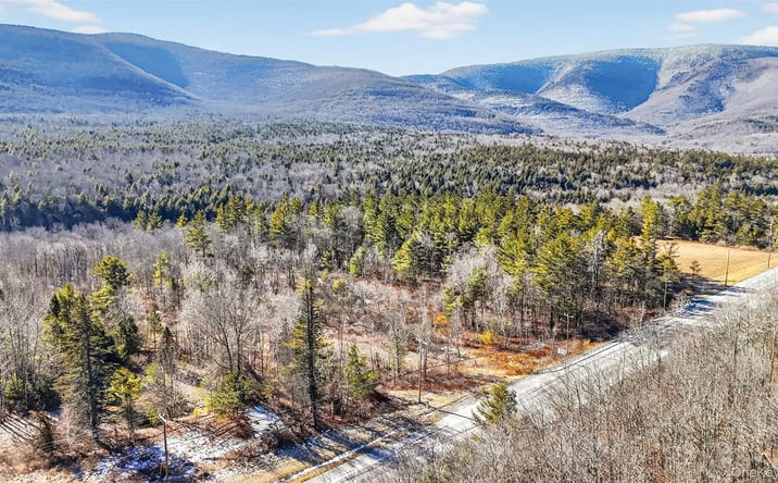 Pictures of Land property located at 6769 Rt-23A, Hunter, NY 12442 for sales - image #1
