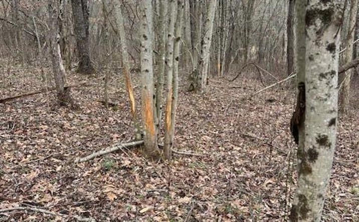 Pictures of Land, Mixed Use property located at County Road 80, Coshocton, OH 43812 for sales - image #1