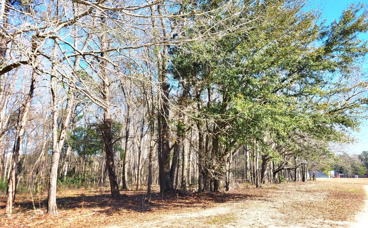 Pictures of Land, Multifamily property located at Lot 1 Santee Lumber Road, Santee, SC 29142 for sales - image #1