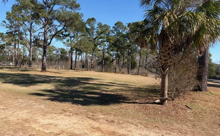 Pictures of Land property located at 3392 Louvinia Dr, Tallahassee, FL 32311 for sales - image #1