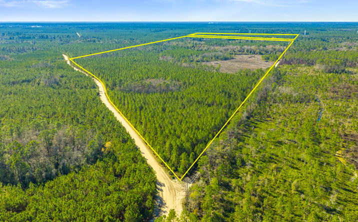 Pictures of Land property located at 0 George's Lake Road, Keystone Heights, FL 32656 for sales - image #1