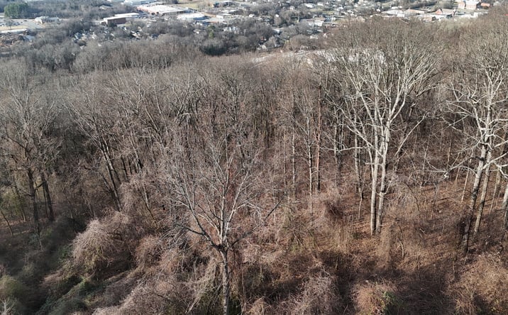 Pictures of Land property located at Pearl St, Chattanooga, TN 37406 for sales - image #1