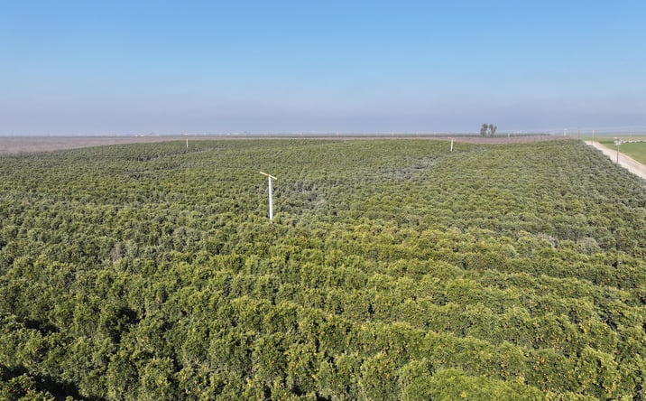Pictures of Land property located at Quinn Rd, Delano, CA 93215 for sales - image #1
