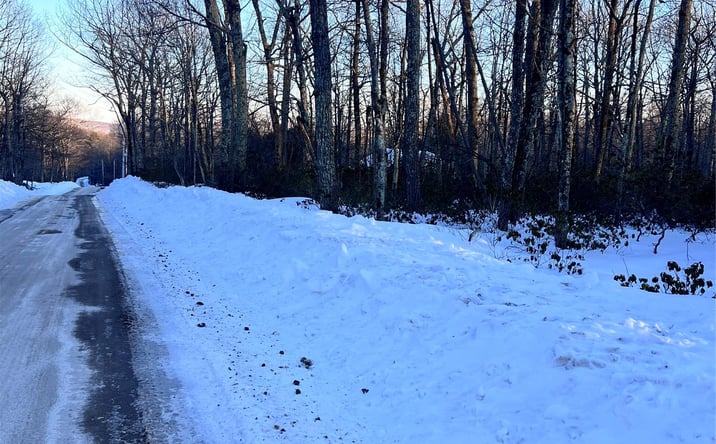 Pictures of Land property located at Budd Road, Mamakating, NY 12790 for sales - image #1