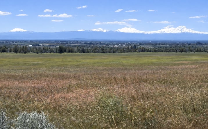 Pictures of Land property located at Wiley Rd, Powell Butte, OR 97753 for sales - image #1