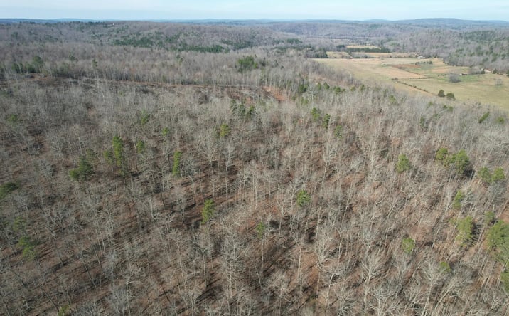 Pictures of Land property located at 10535 Highway 67, Fredericktown, MO 63645 for sales - image #1