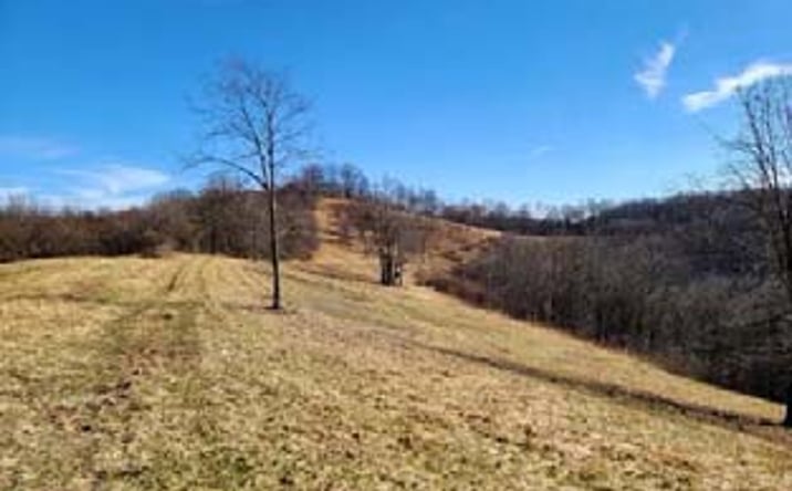 Pictures of Retail, Land property located at 1931 St Leo Rd, Wana, WV 26590 for sales - image #1