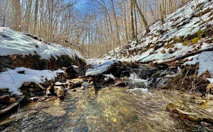 Pictures of Land property located at 0 Mcatee Drive, Huttonsville, WV 26273 for sales - image #1