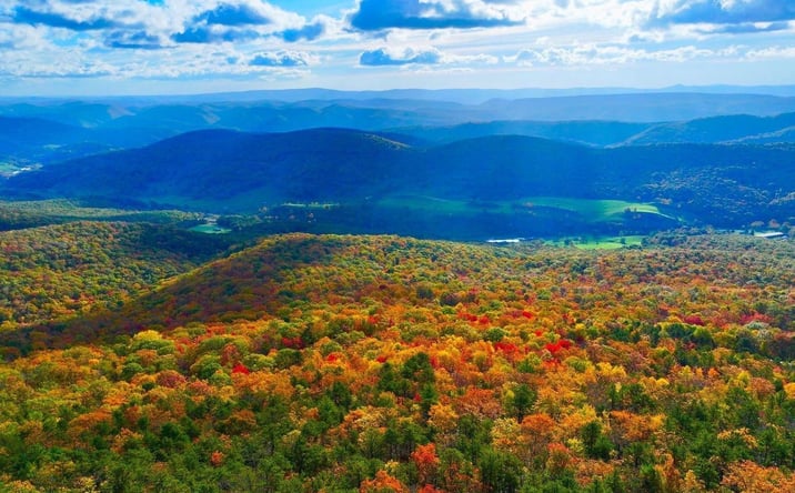 Pictures of Land property located at TBD Route 33, Franklin, WV 26807 for sales - image #1