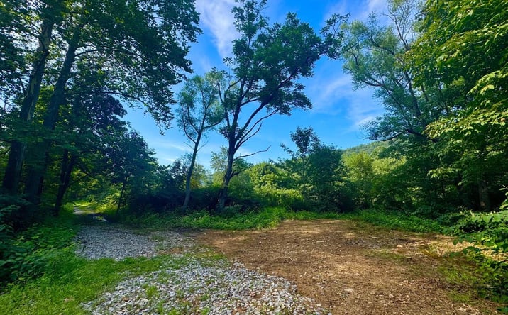 Pictures of Land property located at Route 72, Parsons, WV 26287 for sales - image #1