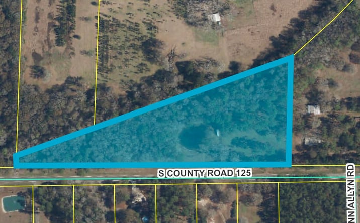 Pictures of Land property located at TBD CR 125 S, Macclenny, FL 32063 for sales - image #1