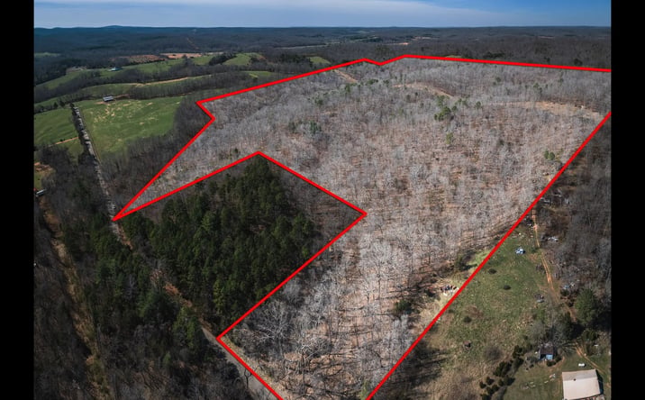 Pictures of Land property located at 000 Madison 244/County Road 224, Fredericktown, MO 63645 for sales - image #1