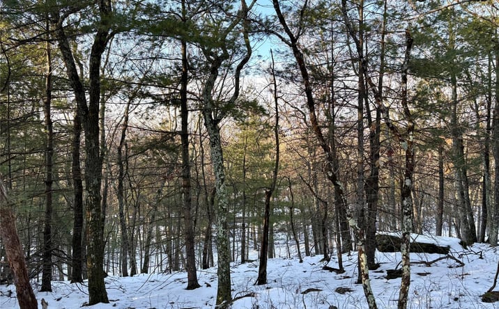 Pictures of Land property located at Route 28A, Hurley, NY 12443 for sales - image #1