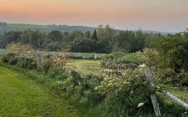 Pictures of Land property located at M8-L16 Grendell Road, Chapman, ME 04757 for sales - image #1