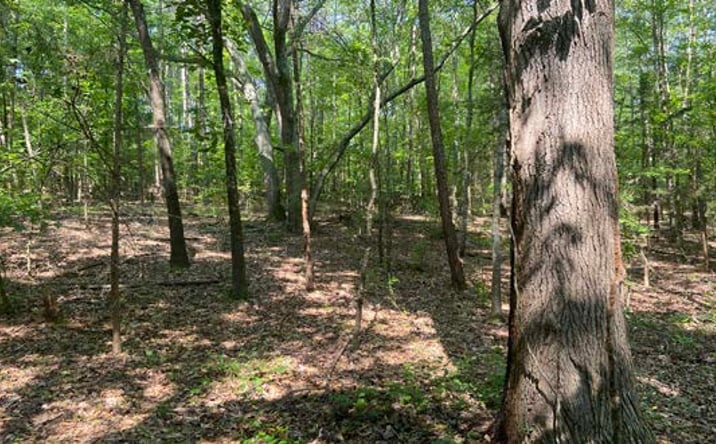 Pictures of Land property located at Terry Shop Rd, Fountain Inn, SC 29644 for sales - image #1