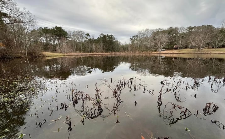 Pictures of Land property located at Lower Myrick Road, 69944, MS 39443 for sales - image #1