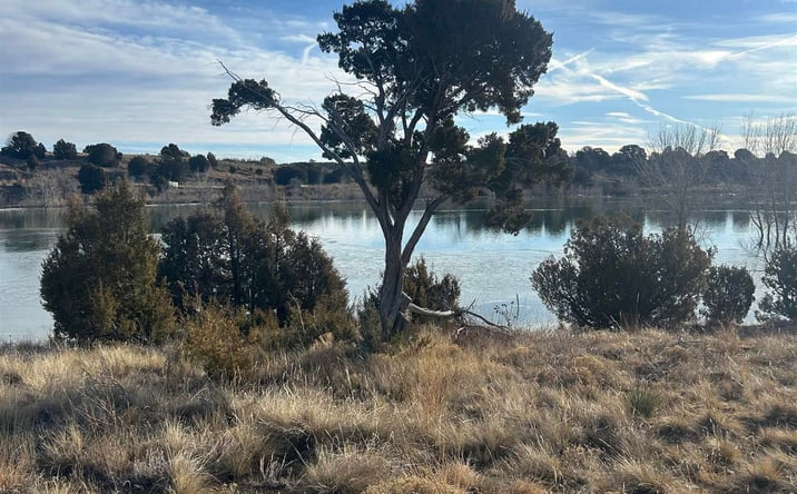 Pictures of Land property located at 31 Muir Street, Las Vegas, NM 87701 for sales - image #1