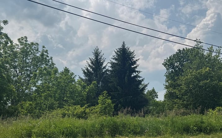 Pictures of Land property located at Oakvale Rd, Princeton, WV 24740 for sales - image #1