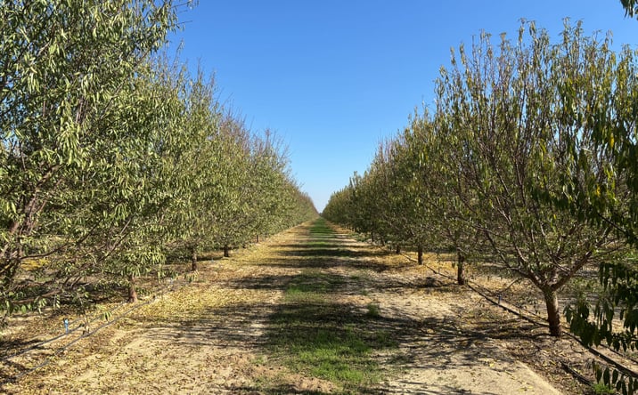 Pictures of Land property located at Scofield Ave, Wasco, CA 93280 for sales - image #1