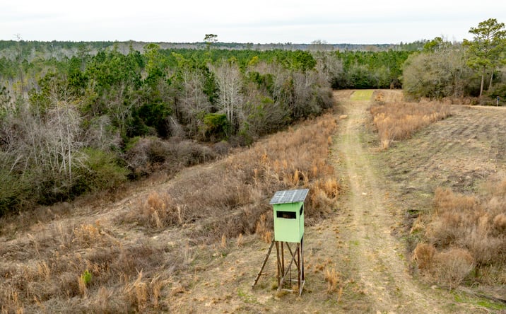 Pictures of Land property located at Garrison Rd, Milan, GA 31060 for sales - image #1
