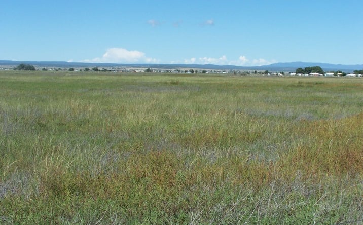 Pictures of Land property located at C. DEL SOL A081/MULBERRY A146, McIntosh, NM 87032 for sales - image #1