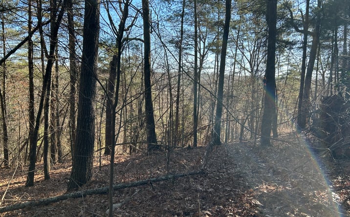 Pictures of Land property located at 00000 Twin River Orchard Rd, Demorest, GA 30535 for sales - image #1