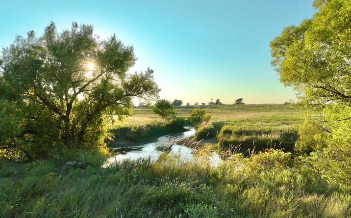 Pictures of Land property located at Co Rd 29, undefined, TX 79070 for sales - image #1