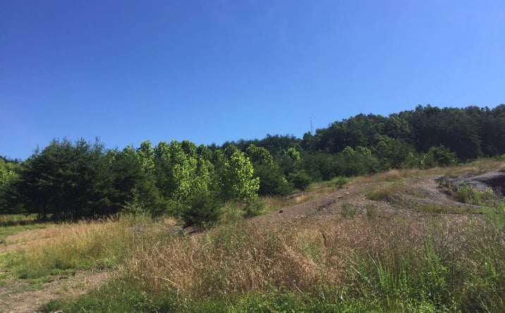 Pictures of Land property located at 400 Keith Whitley Blvd., Sandy Hook, KY 41171 for sales - image #1