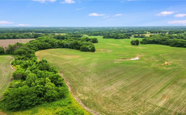 Pictures of Land, Special Purpose property located at Tract 4 E State Route 2 Highway, Garden City, MO 64747 for sales - image #1