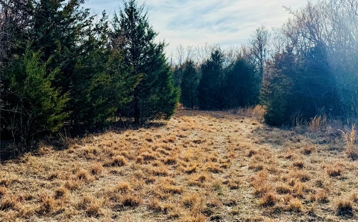 Pictures of Land property located at County Road 3660, Weleetka, OK 74880 for sales - image #1