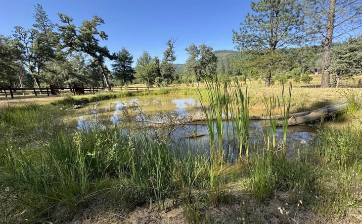 Pictures of Land property located at 15614 Indiana Ranch Road, 11698, CA 95935 for sales - image #1