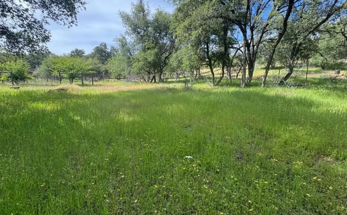 Pictures of Land property located at 12991 Lake Francis Ext Road, 11698, CA 95935 for sales - image #1