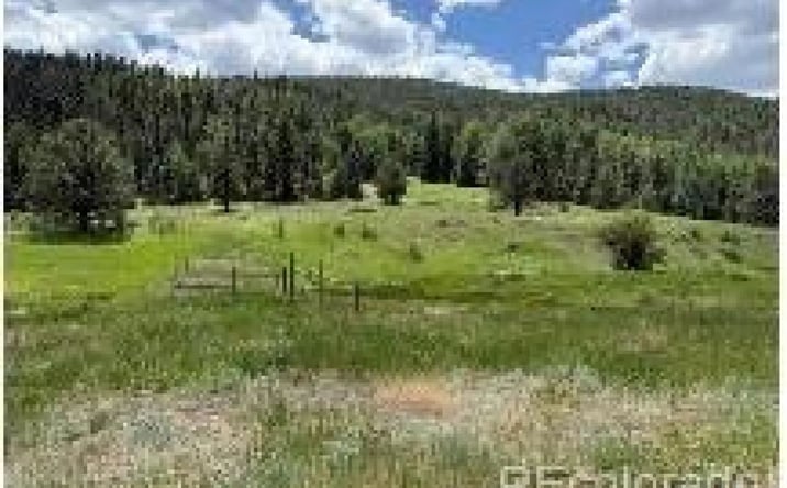 Pictures of Land property located at Lot 1 Co Rd 358, 17503, CO 81252 for sales - image #1