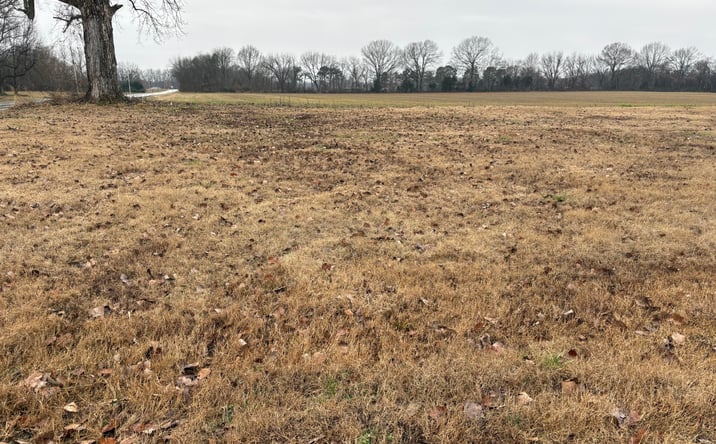 Pictures of Land property located at Lightfoot Luckett Road, Ripley, TN 38063 for sales - image #1