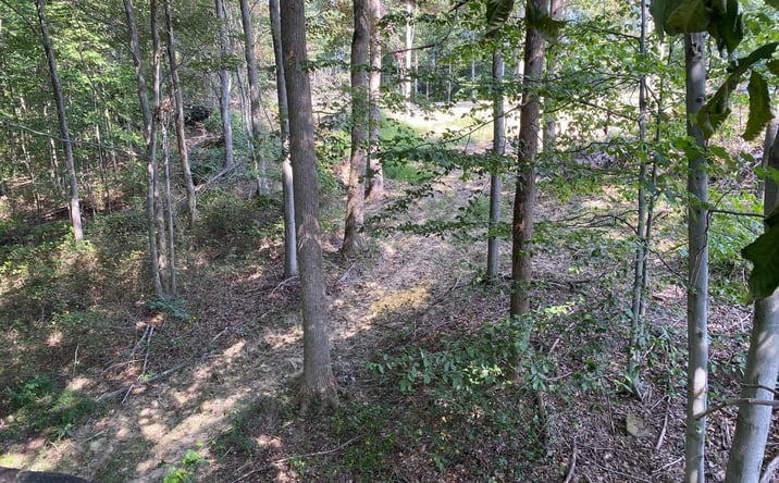 Pictures of Land property located at 4345 Mt Unger Rd, Otway, OH 45657 for sales - image #1