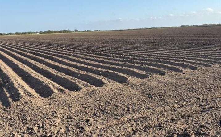 Pictures of Land property located at 15 1/2 & N FM 493 Road, Donna, TX 78537 for sales - image #1