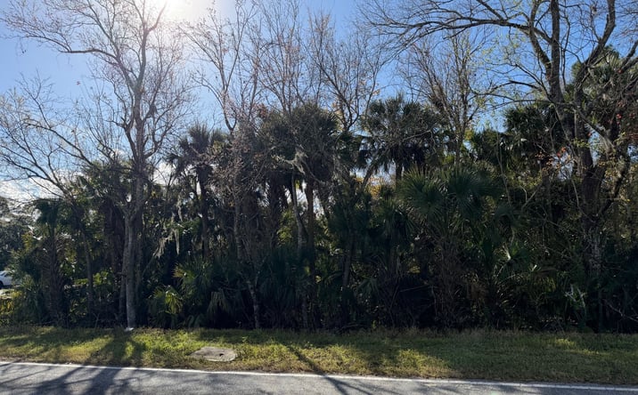 Pictures of Land property located at SWC Fox Lake Road & Hwy 405, TItusville, FL 32780 for sales - image #1