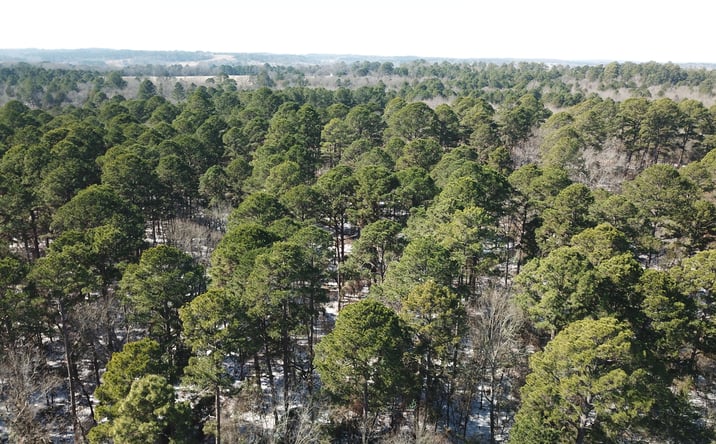 Pictures of Land property located at County Rd 3147, Tyler, TX 75706 for sales - image #1