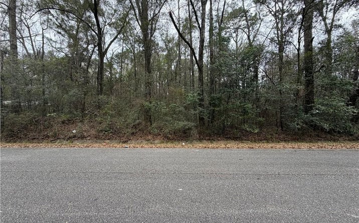 Pictures of Land property located at 0 CAROL Street, Mobile, AL 36608 for sales - image #1