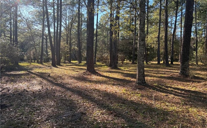 Pictures of Land property located at 0 Venice Court, Mobile, AL 36605 for sales - image #1