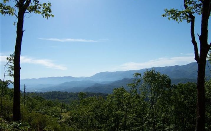 Pictures of Land property located at 850 Bluff Rd, Marble, NC 28905 for sales - image #1
