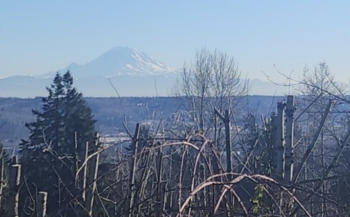 Pictures of Land property located at 71xx S 130th St, Seattle 98178, Seattle, WA 98178 for sales - image #1