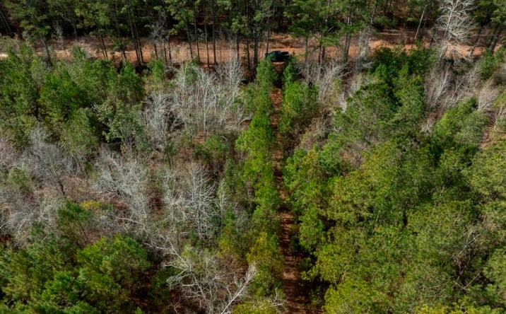 Pictures of Land property located at Riggs Mill Lane, Statesboro, GA 30458 for sales - image #1