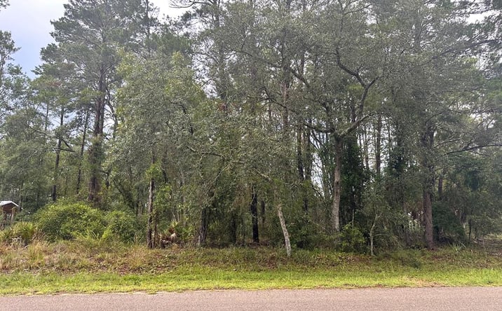 Pictures of Land property located at tbd N Sugar Hill Ln, Steinhatchee, FL 32359 for sales - image #1