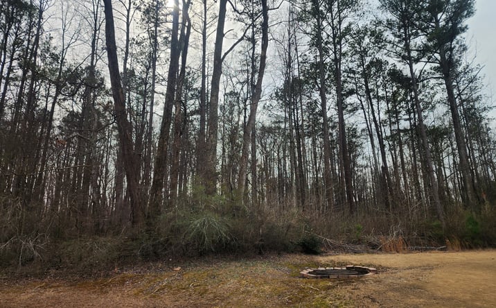 Pictures of Land property located at 5624 Browns Mill Rd, Lithonia, GA 30038 for sales - image #1