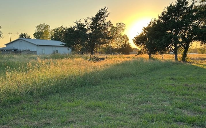 Pictures of Land property located at Live Oak Rd, Princeton, Tx, USA, Princeton, TX 75407 for sales - image #1