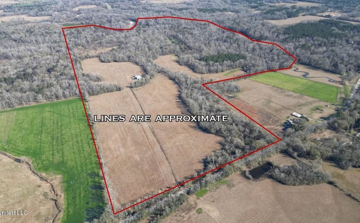 Pictures of Land property located at 11311 Port Hudson-Pride Road, 52595, LA 70791 for sales - image #1
