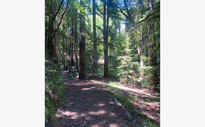 Pictures of Land property located at 2 Wainwright Pl, Mill Valley, CA 94941 for sales - image #1