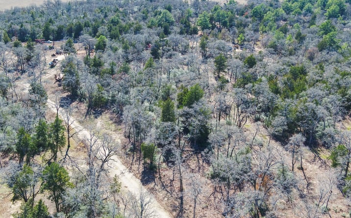 Pictures of Land property located at Private Rd 3221, Rockdale, TX 76567 for sales - image #1
